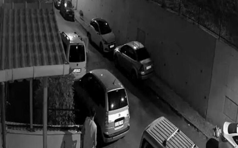 İstanbul'da panik anlar: Yaban domuzları şehir merkezine indi!