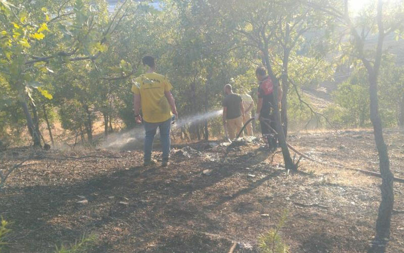 Adıyaman’da anız ateşi ormanı yaktı: 6 hektar küle döndü Adıyaman’da anız ateşi ormanı yaktı: 6 hektar küle döndü