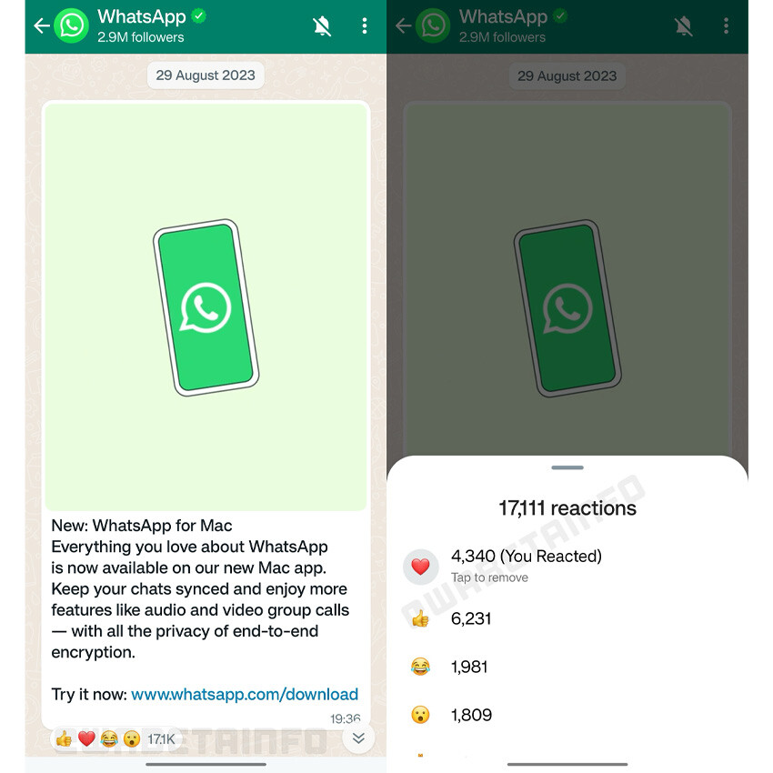 WhatsApp kanallar tepki 
