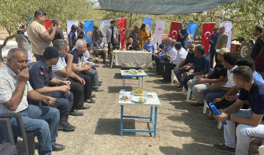 Hibe desteğiyle kurulmuştu, hasat heyecanı başladı!