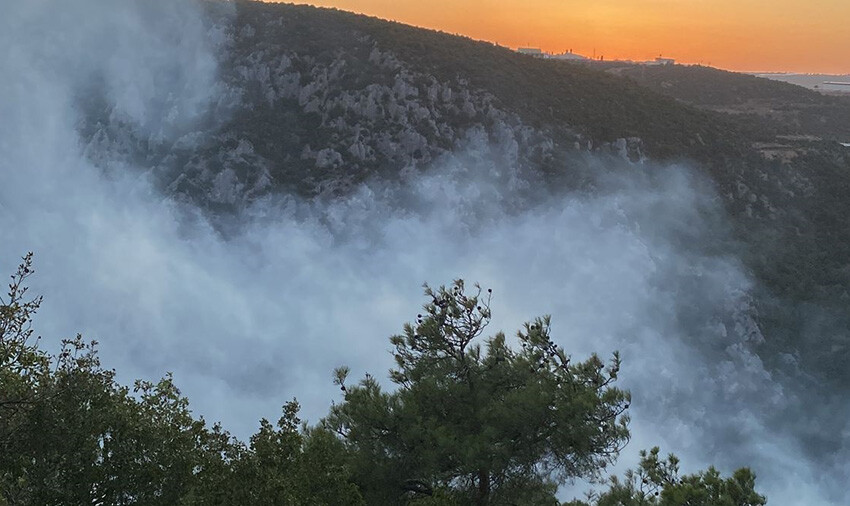 Bilecik'te yıldırım düşen ormanda yangın çıktı: Havadan karadan müdahale var