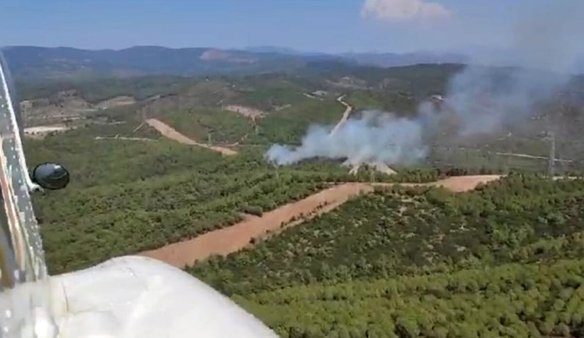 İzmir’de orman yangını çıktı!