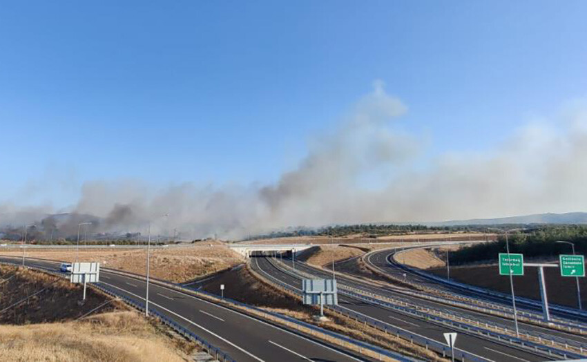 Gelibolu’da zirai alanda yangın: Havadan karadan müdahale var