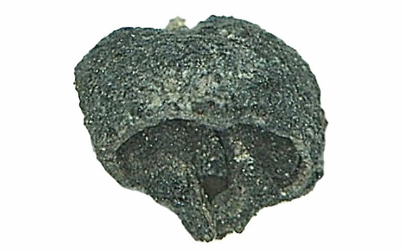 Denizli’de heyecanlandıran keşif! Hiç bozulmadan günümüze kadar geldi… Yaklaşık 3500 yıllık