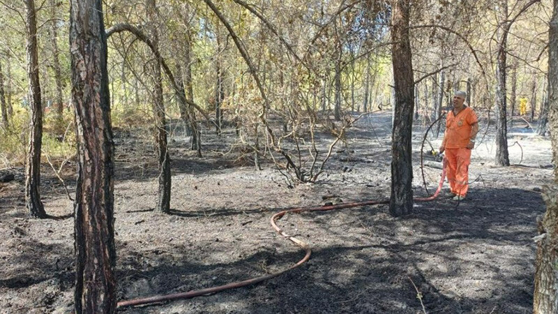 Mersin'de korkutan yangın! Mersin- Orman- yangın