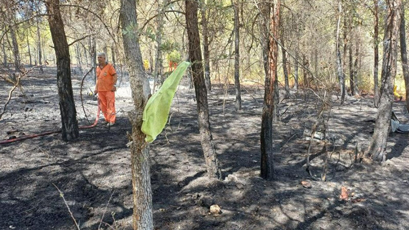 Mersin'de korkutan yangın! Çekoklu- yangın- mersin