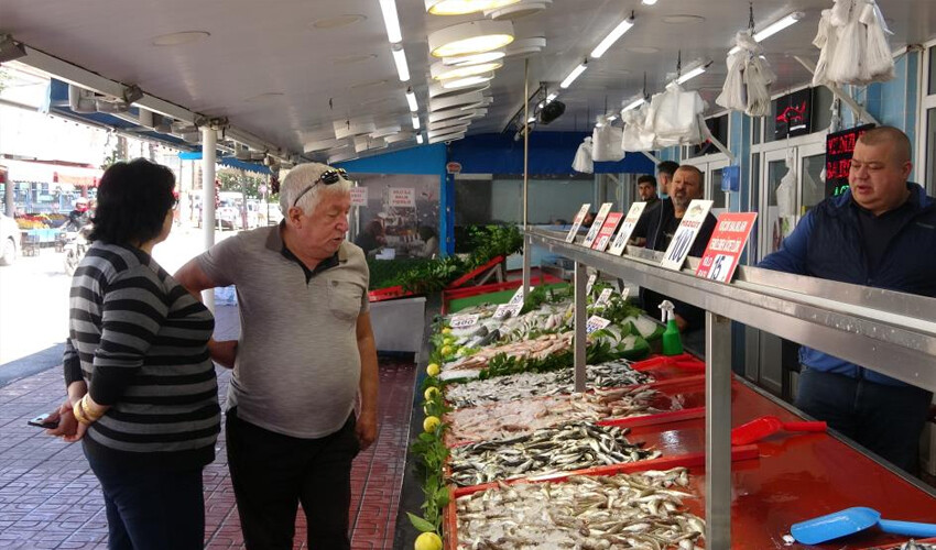 Bu sene hamsi senesi: Balık bolluğu var Bu sene hamsi senesi: Balık bolluğu var