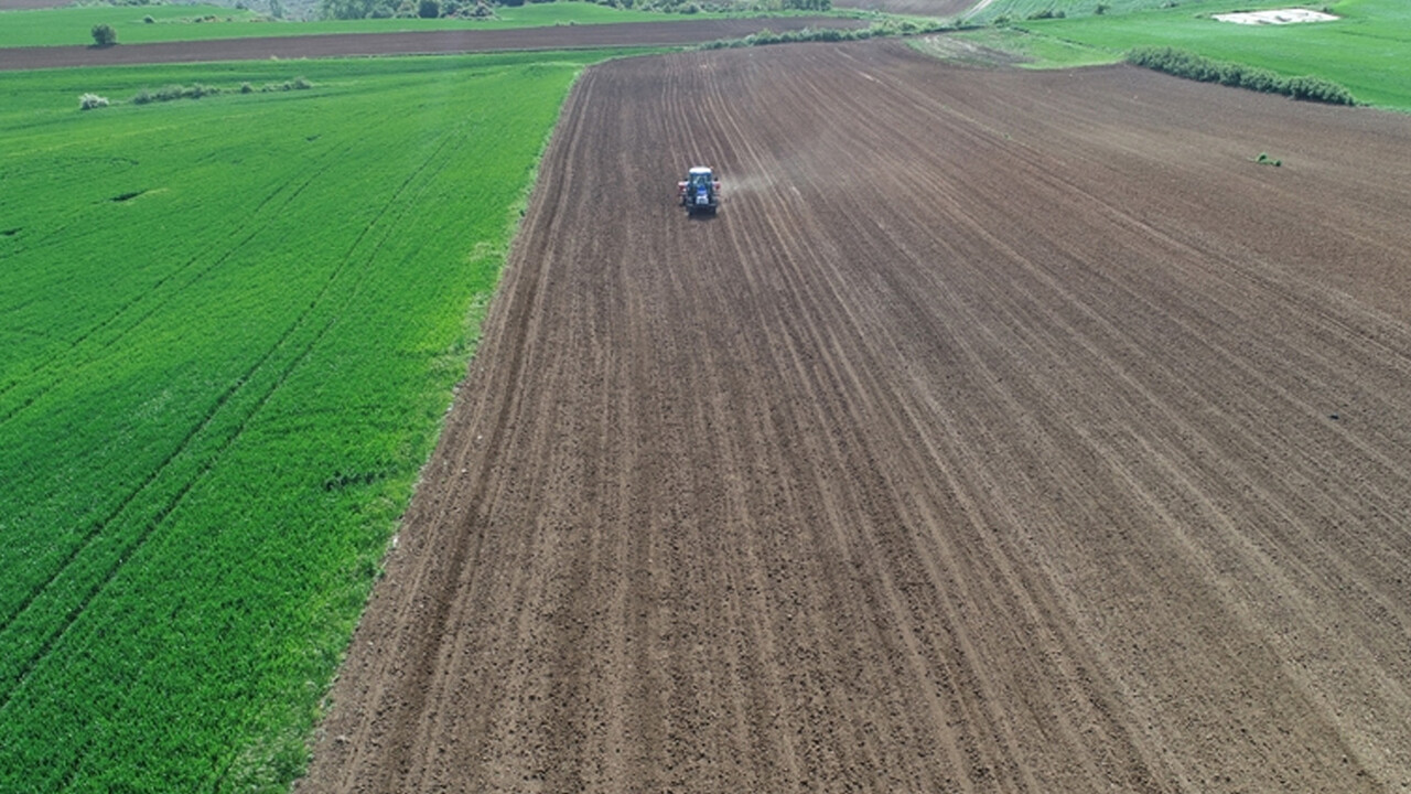 Bakanlık Anadolu'ya desteği verdi, çiftçiler harekete geçti! Binlerce dekarlık alanda ekimi yapıldı, araziler iki katına çıktı