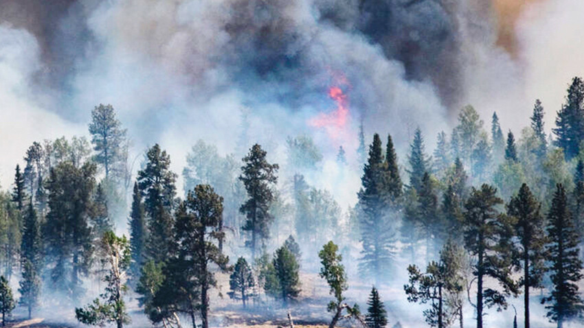 Afetler yeni bir dünya düzeni kurmanın araçları mı? Felaketler zinciri nereye varacak? Afetler yeni bir dünya düzeni kurmanın araçları mı? Felaketler zinciri nereye varacak?