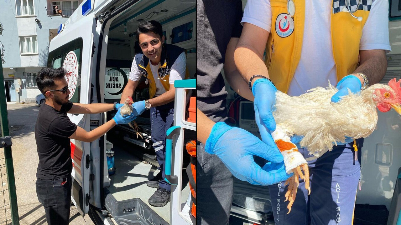 Sıra dışı çağrı sağlık çalışanlarını hayrete düşürdü! 'Alo acil 112 tavuğum yaralandı' Sıra dışı çağrı sağlık çalışanlarını hayrete düşürdü! 'Alo acil 112 tavuğum yaralandı'