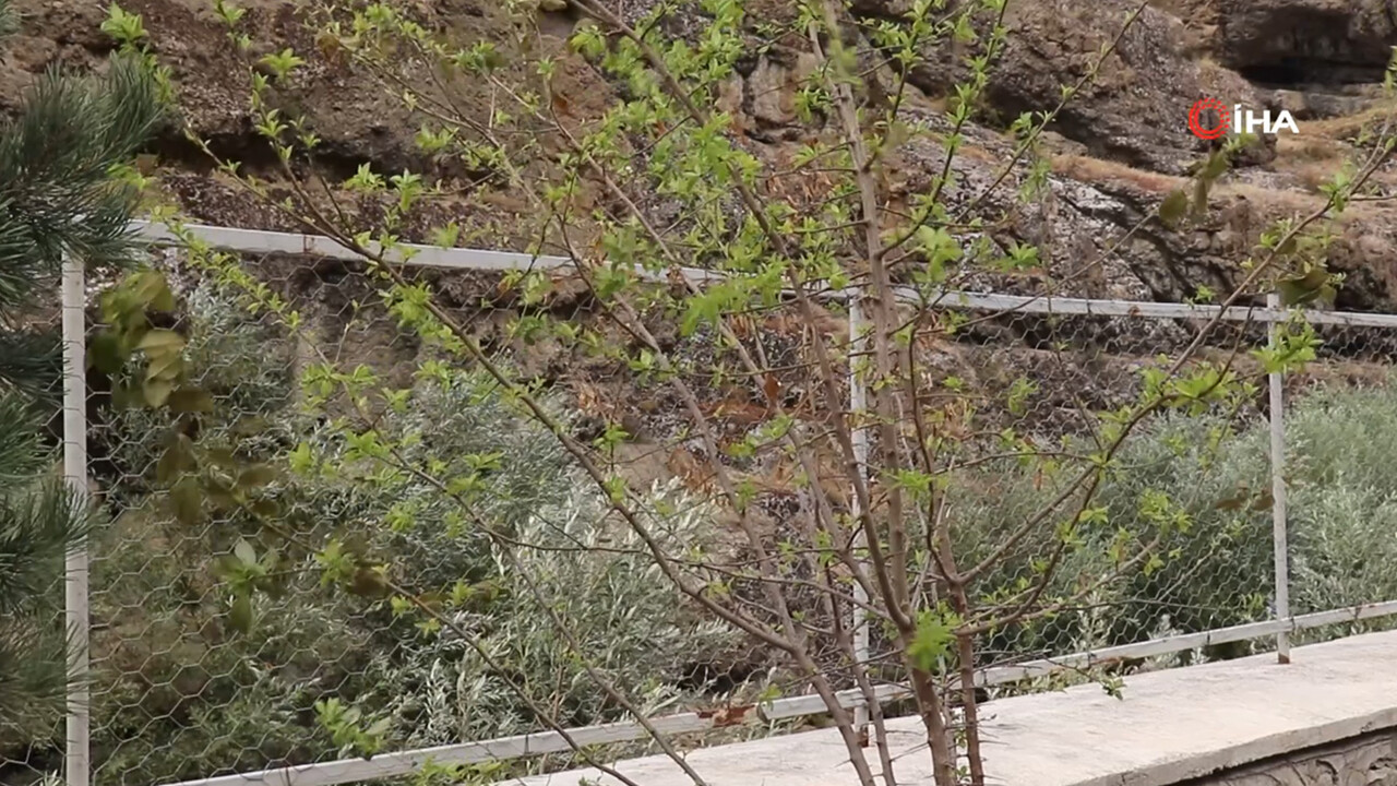 Eylül ayı ortasında şaşkına çeviren olay!  Herkese şaşkınlık içinde: 'Daha önce böyle bir şey görmedik'