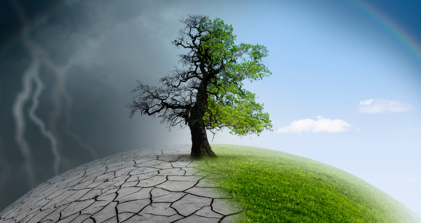 İklim değişikliği kanunu nedir? İklim yasası maddeleri…