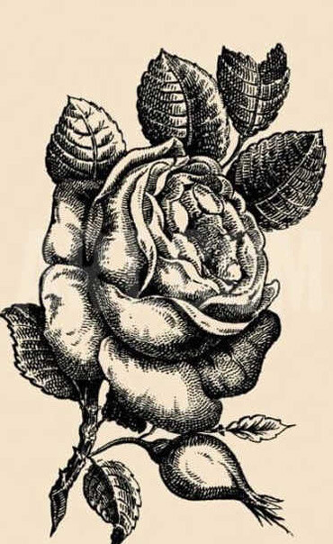 Zorlu illüzyon için 8 saniyeniz var… Görselde saklanan kız nerede?