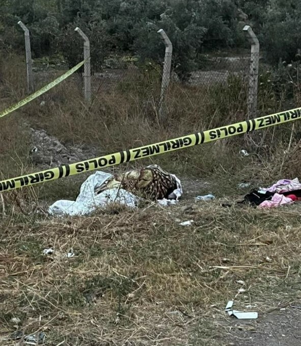 Nadia Nori cinayet- yol kenarı