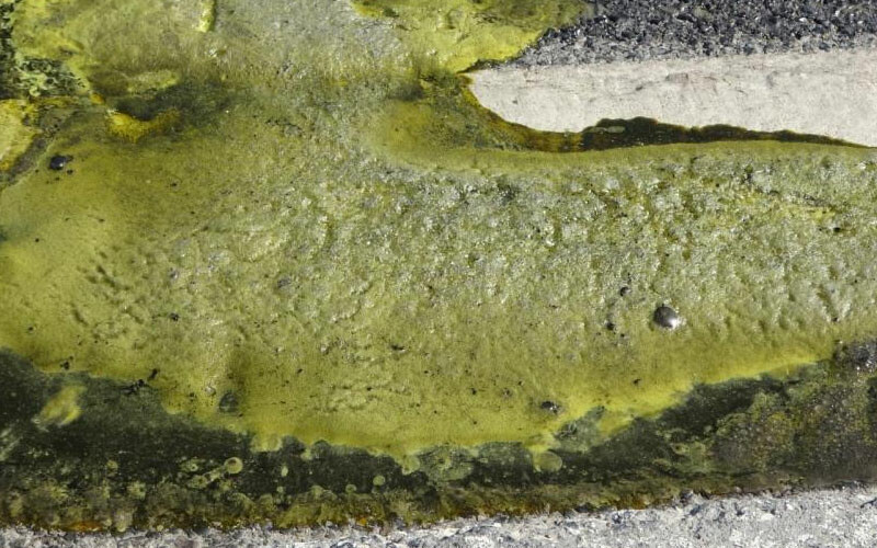 İstanbul’da kimyasal madde paniği: Varil patladı, yol trafiğe kapatıldı