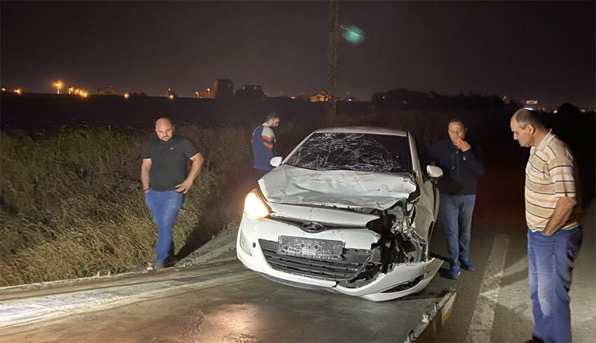 Tekirdağ'da yürek sızlatan olay! Otomobilin çarptığı yaralı inek, çoban kaçınca sahipsiz kaldı