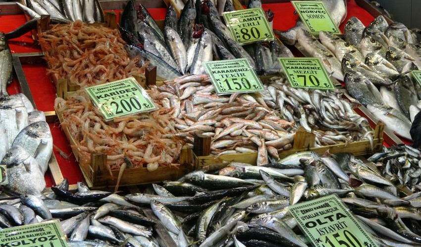 Denizlerin prensi tezgahlarda yerini aldı: Kilosu 600 lira... Denizlerin prensi tezgahlarda yerini aldı: Kilosu 600 lira...