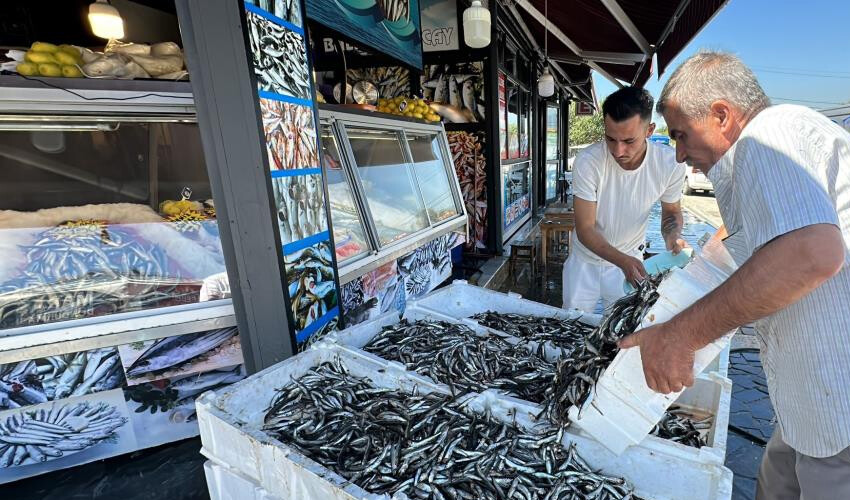 Denizlerden adeta fışkırıyor! Sudan ucuz...Vatandaşlar tezgahlara akın ediyor