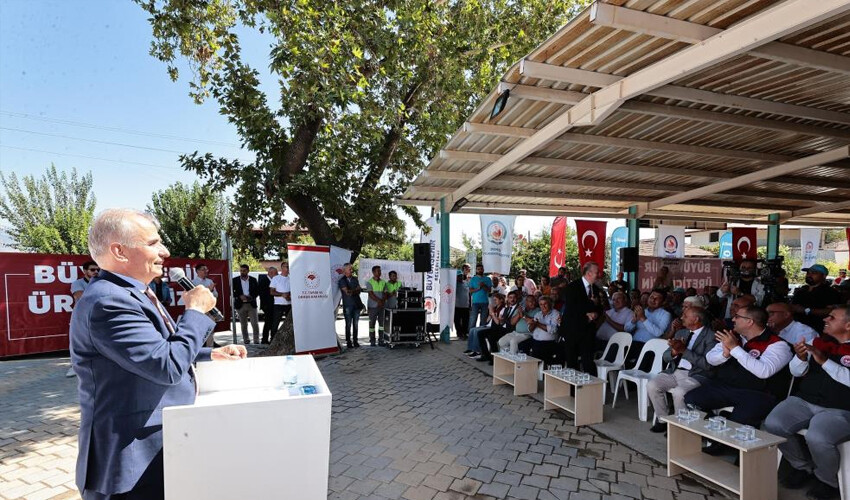 Teşvik için hibe veriliyor! Silajlık mısır hasatı başladı