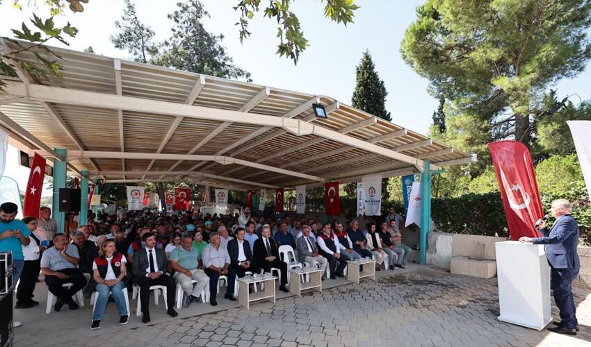 Teşvik için hibe veriliyor! Silajlık mısır hasatı başladı