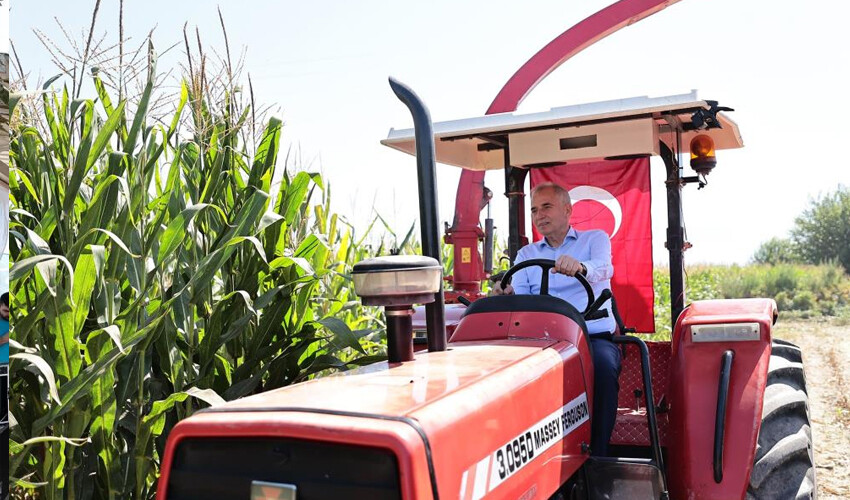 Teşvik için hibe veriliyor! Silajlık mısır hasatı başladı