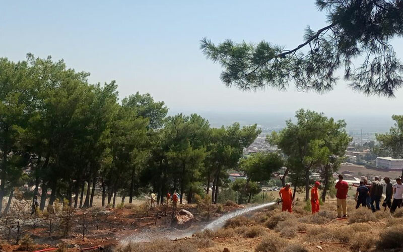 Bolu, Ankara, İzmir, Adana... 4 ilde orman yangını! Ekipler havadan ve karadan müdahale ediliyor Bolu, Ankara, İzmir, Adana... 4 ilde orman yangını! Ekipler havadan ve karadan müdahale ediliyor