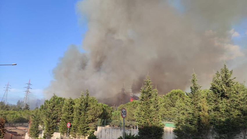 Bursa'da TEİAŞ'a ait ormanda yangın çıktı: Havadan karadan müdahale var