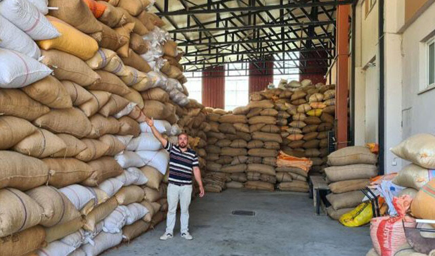 Fındık fiyatları arttı, üreticinin yüzü güldü