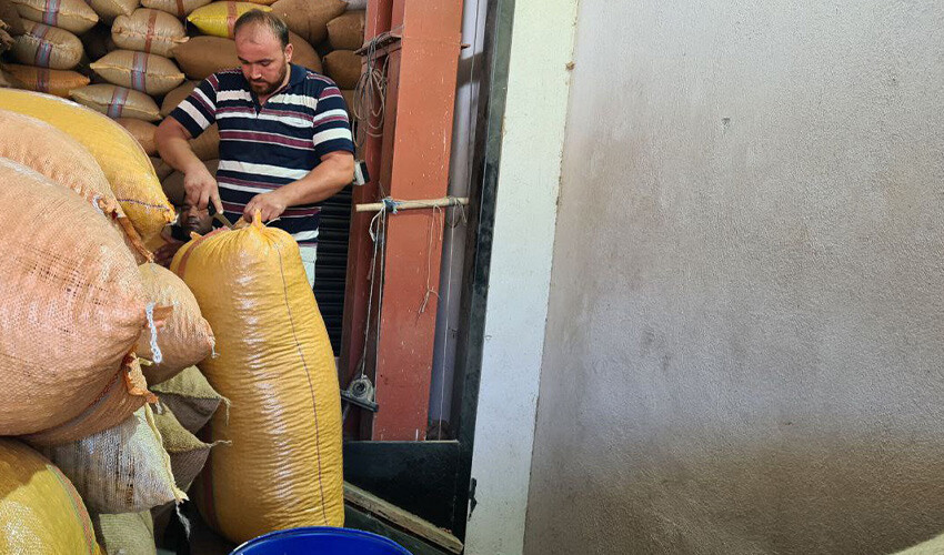 Fındık fiyatları arttı, üreticinin yüzü güldü