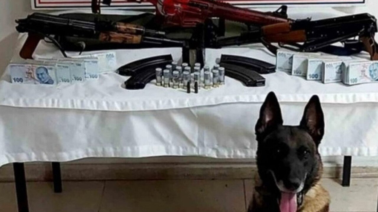 Operasyonda ele geçirilen hayvan tahnitleri şaşırttı