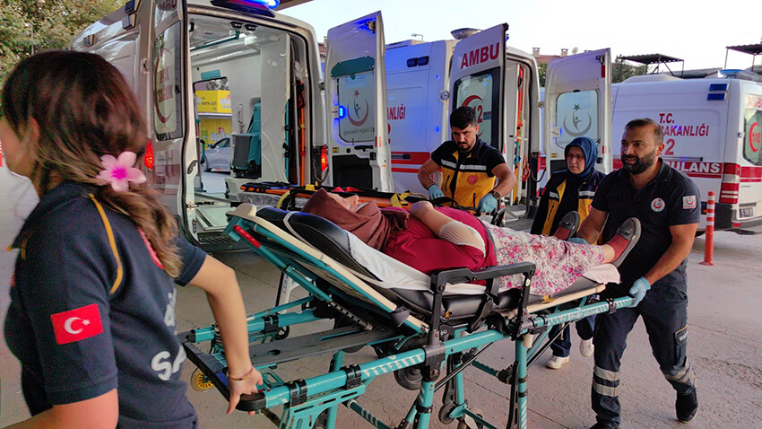 TEM'de feci kaza! Çarptıkları köpeğe bakarken aracın altında kaldı