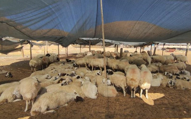 Aylık 40 bin liraya çalışacak eleman bulamıyorlar! İsyan ettiler: Kimse bu işi yapmak istemiyor Aylık 40 bin liraya çalışacak eleman bulamıyorlar! İsyan ettiler: Kimse bu işi yapmak istemiyor - 1. Resim