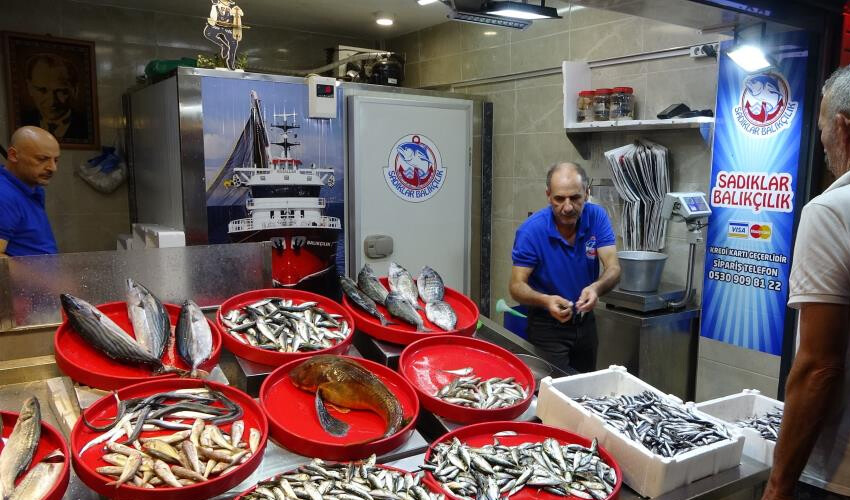Kayıp aranıyor! Balıkçılar ümidi kesti, bu yıl palamut yok! Kayıp aranıyor! Balıkçılar ümidi kesti, bu yıl palamut yok!