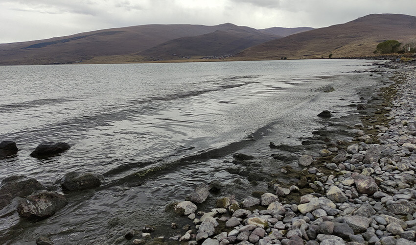 Çıldır Gölü'nde tehlike çanları çalıyor: Yeşil tabaka kapladı, kıyılarda kötü koku yayıldı Çıldır Gölü'nde tehlike çanları çalıyor: Yeşil tabaka kapladı, kıyılarda kötü koku yayıldı