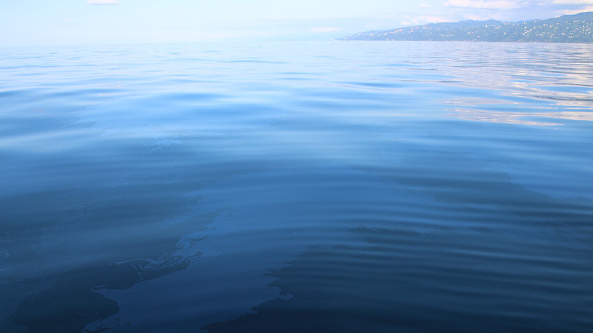 Gabar, Cudi derken Doğu Karadeniz'de petrol heyecanı: Numuneler alındı, TPAO'ya gönderildi Gabar, Cudi derken Doğu Karadeniz'de petrol heyecanı: Numuneler alındı, TPAO'ya gönderildi