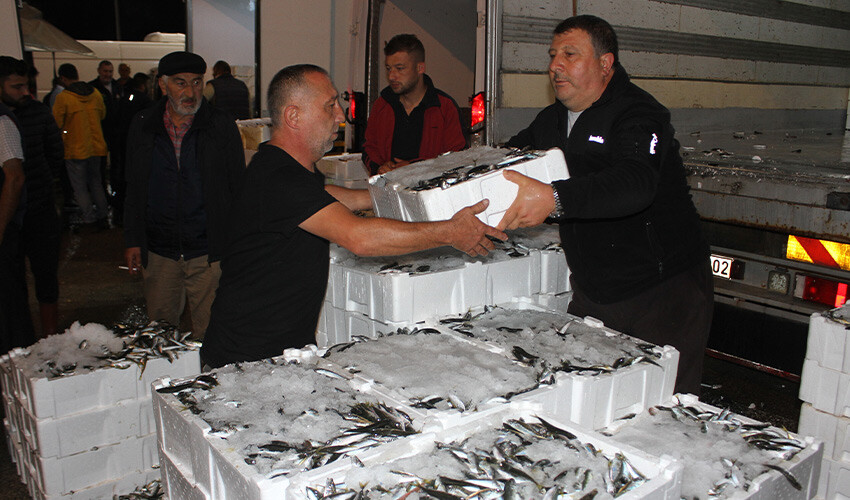 Tezgahlarda balık kalmadı: Yoğun ilgi gün doğmadan başlıyor Tezgahlarda balık kalmadı: Yoğun ilgi gün doğmadan başlıyor