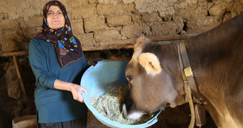 Depremde 'ölü' olarak kayıtlara geçti, talihsiz kadın yaşadığını ispatlamaya çalışıyor: 'Evden çıkamıyorum'
