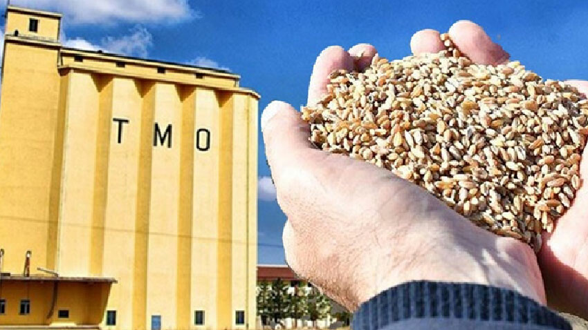 Son Dakika: TMO tarihinin en yüksek alımını gerçekleştirdi! Hububatta stok sorunu yok TMO'dan hububat alım rekoru