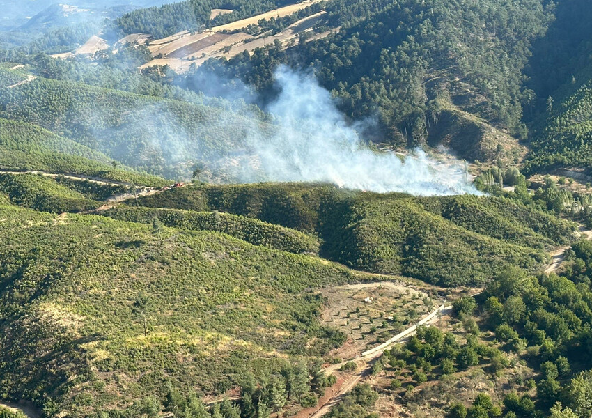 honaz orman yangını