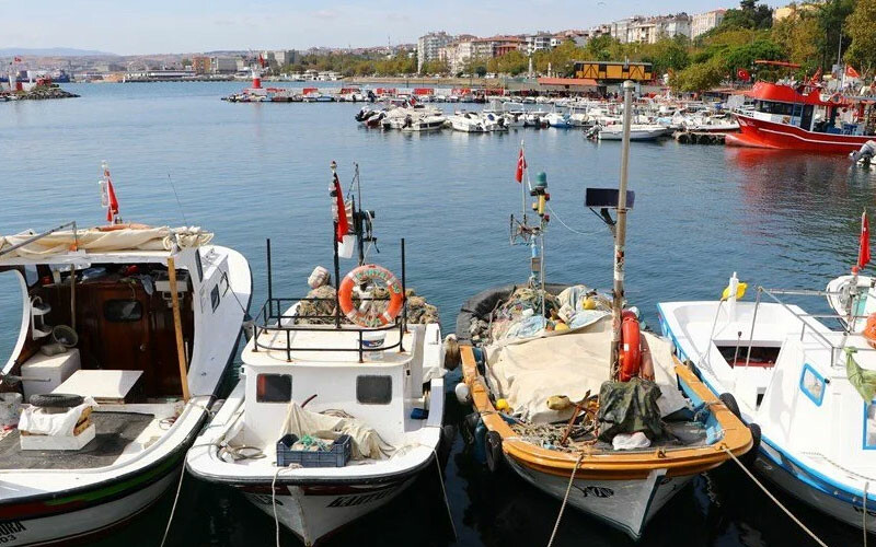 Hamsi için yeni rota! Balıkçılar Marmara’da umduğunu bulamadı Hamsi için yeni rota! Balıkçılar Marmara’da umduğunu bulamadı
