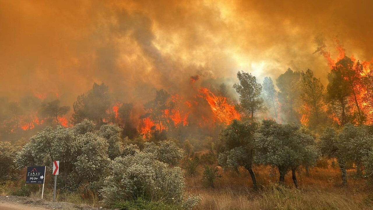 İzmir&#039;deki yangının acı bilançosu netleşti: Yüzlerce hektar alan küle döndü