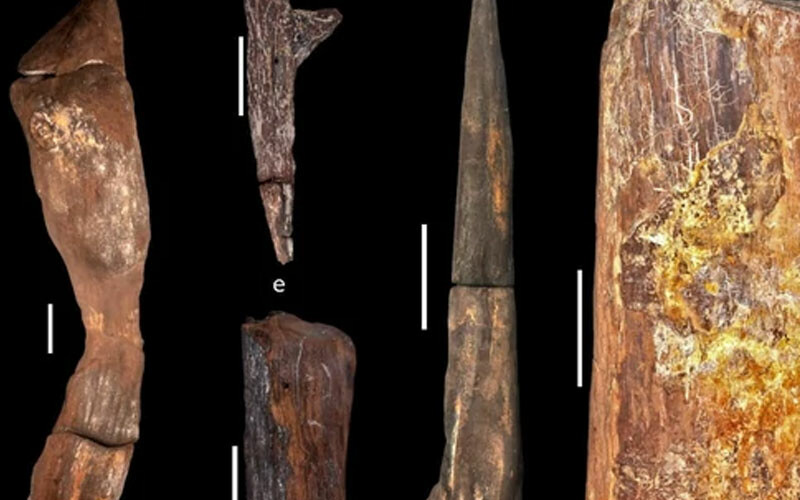 İnsanlık tarihine ışık tutacak! Zambiya'da 500 bin yıllık yapı bulundu: Uzmanlar şaşkın