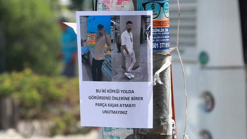 Esrarengiz ilan görenleri şaşkına çevirdi: Fotoğrafını çekip paylaştılar Esrarengiz ilan görenleri şaşkına çevirdi: Fotoğrafını çekip paylaştılar
