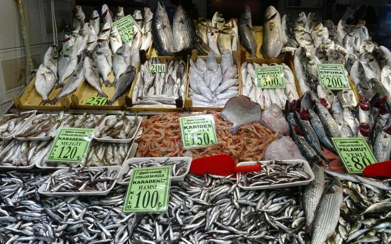 Kırmızı ete alternatif oldu... Sezonun ilk palamutları tezgaha çıktı! Fiyatlardan alan da memnun, satan da Kırmızı ete alternatif oldu... Sezonun ilk palamutları tezgaha çıktı! Fiyatlardan alan da memnun, satan da