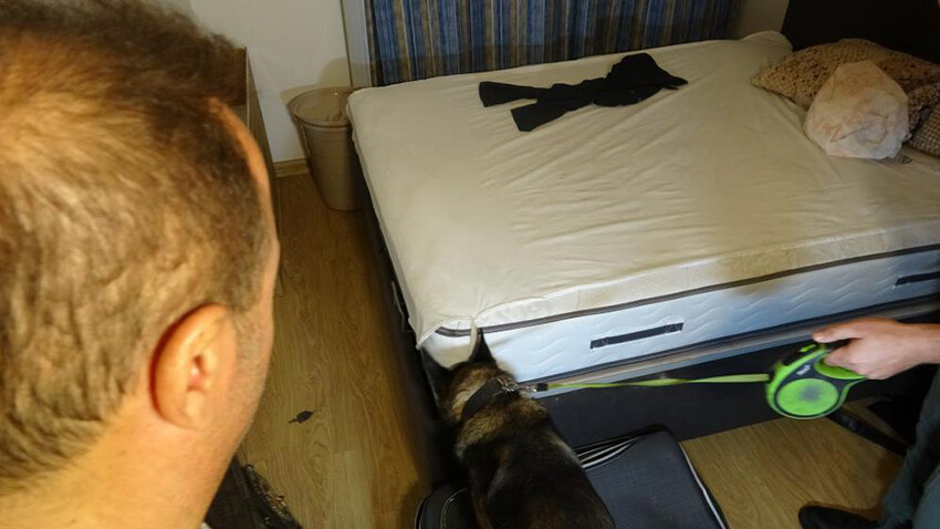 Kiraladıkları rezidansı uyuşturucu imalathanesine çevirdiler!