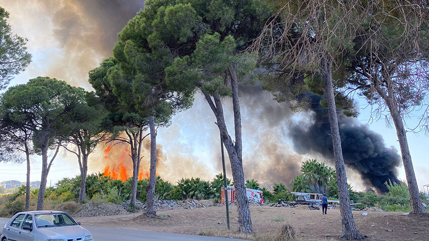 Son Dakika: Antalya'da otluk alanda yangın çıktı! Alevler tersane ve ormana sıçradı  Antalya'da otluk alanda yangın çıktı! Alevler tersane ve ormana sıçradı