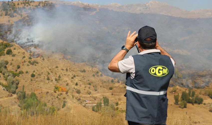 24 saat süren yangında 210 hektar arazi kül oldu
