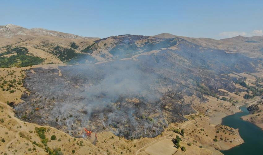 24 saat süren yangında 210 hektar arazi kül oldu