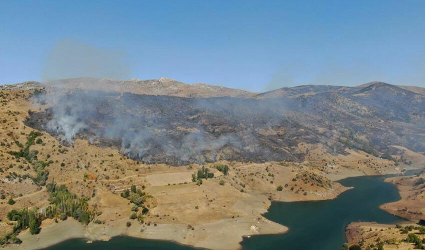 24 saat süren yangında 210 hektar arazi kül oldu