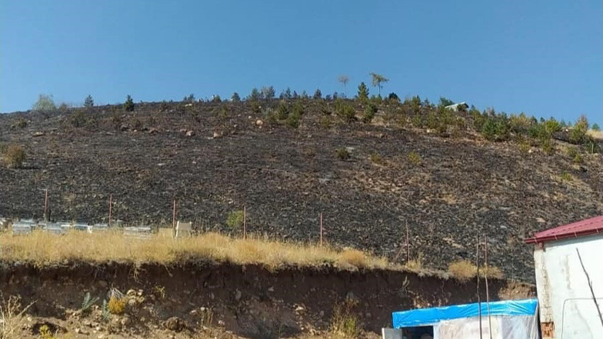 'Çocukluk hayalim' dediği ağaçlar için canını feda etti: Kardeşiyle diktiği fidanlar yanmasın diye alevlerin arasına girdi